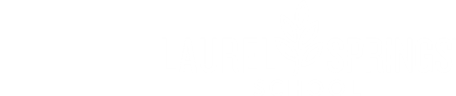 LSS x Partner Logo