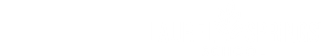 LSS x Partner Logo