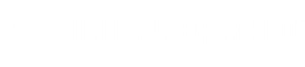 LSS Logo White