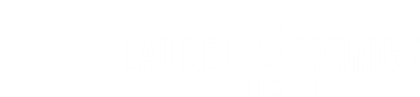 LSS x Partner Logo