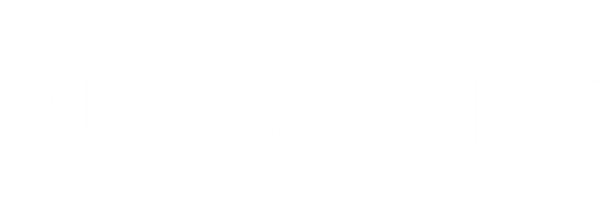 LSS Logo