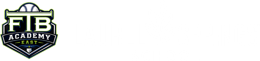 LSS x Partner Logo