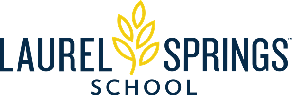 LSS Logo