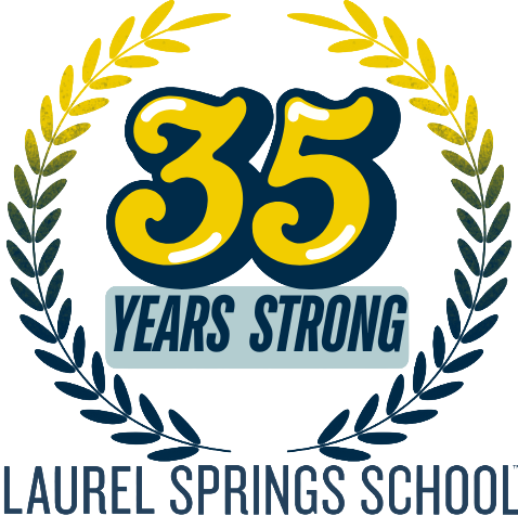 LSS 35th Anniversary Logo