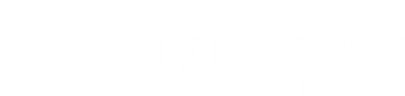LSS x Partner Logo