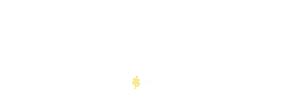 Transformation Thursdays Returning January 2027