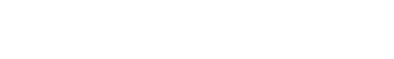 LSS x Partner Logo