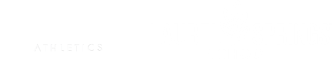 LSS x Partner Logo