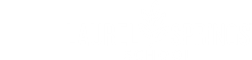 LSS x Partner Logo