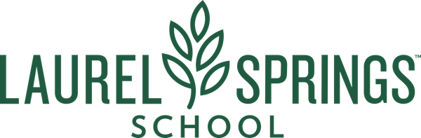 LSS Logo