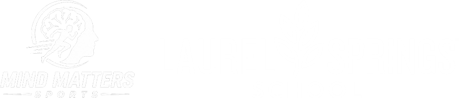 LSS x Partner Logo