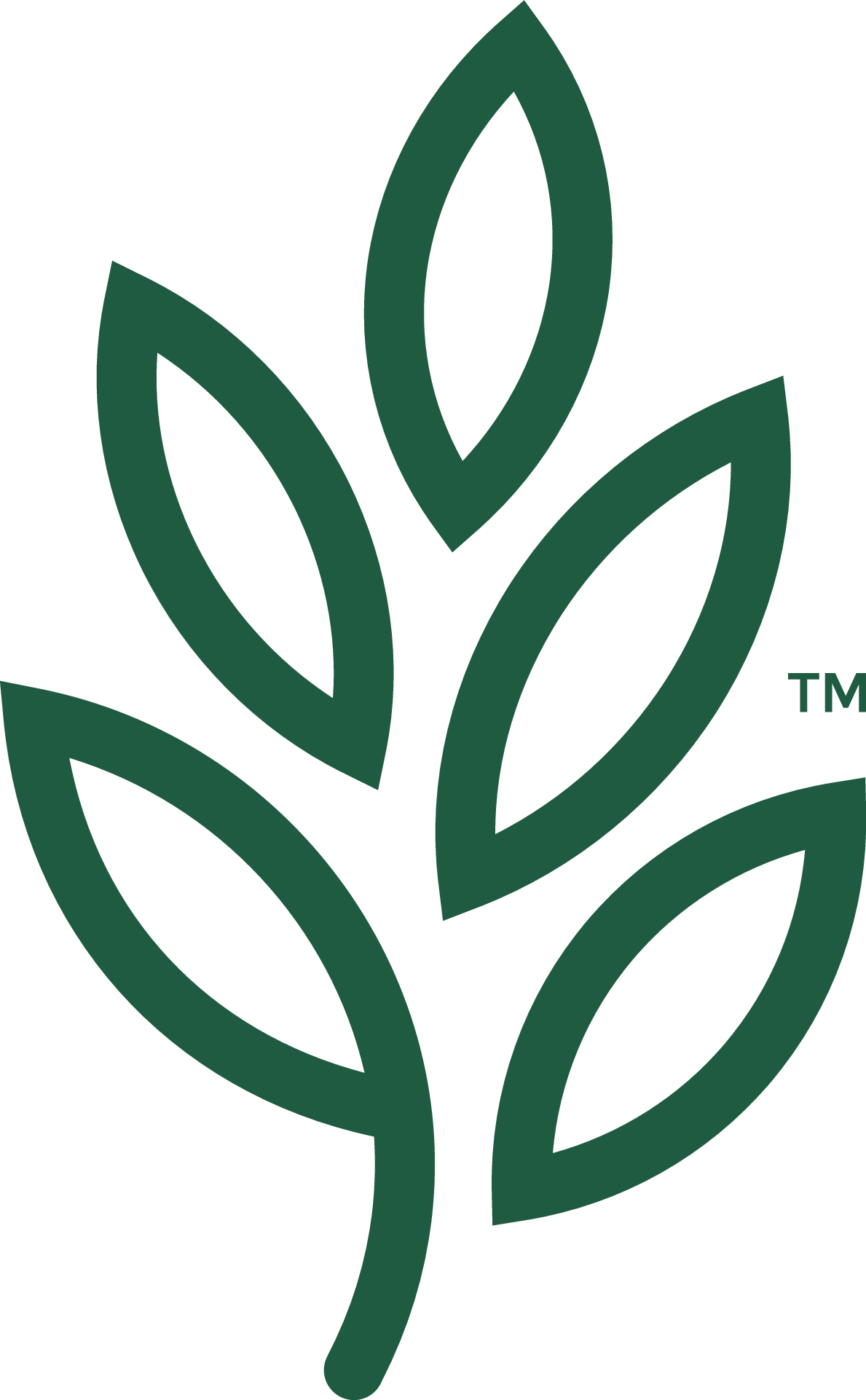 LSS Logo | Leaf