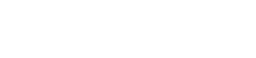 LSS x Partner Logo